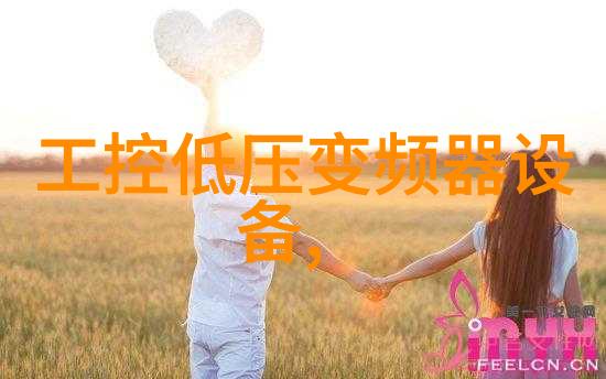 关于变频器工作原理的阐述